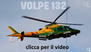 volpe132