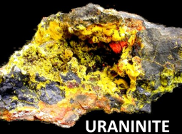 Uraninite