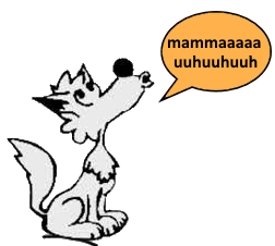 Il cucciolo