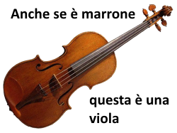 Viola