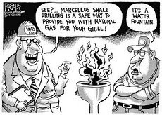 Shale gas